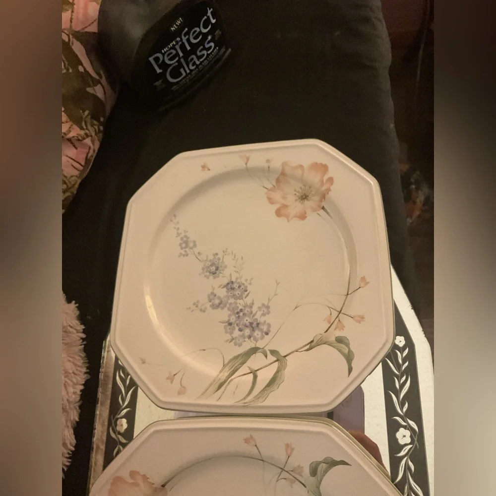 Set of 2 Mikasa Continental Amsterdam F3102 Dinner Plates 10-3/8”
